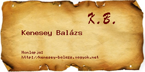 Kenesey Balázs névjegykártya